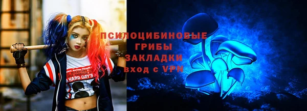 PSILOCYBIN Тихорецк