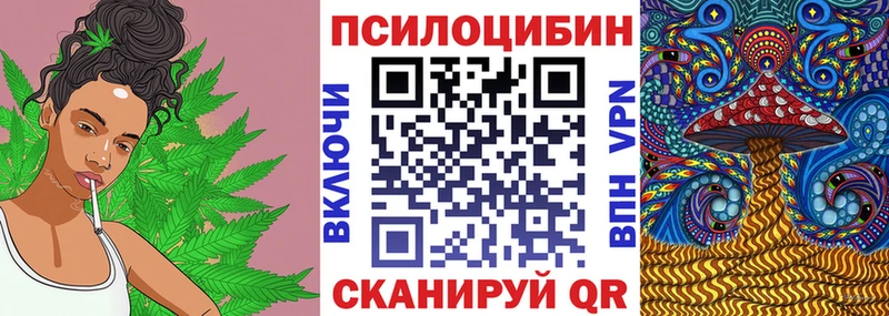 Купить  Заволжск  Галлюциногенные грибы Cubensis 